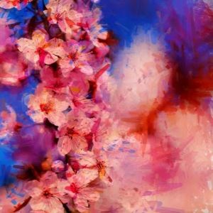 Meet your Posher, Desha